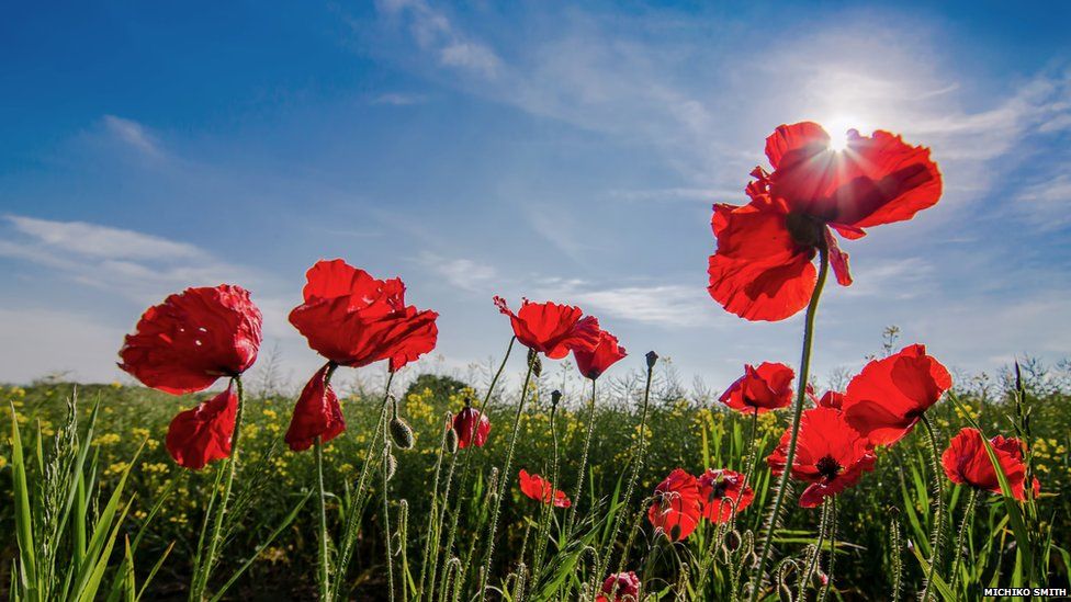 Your Recent Uk Weather Photos Bbc Weather