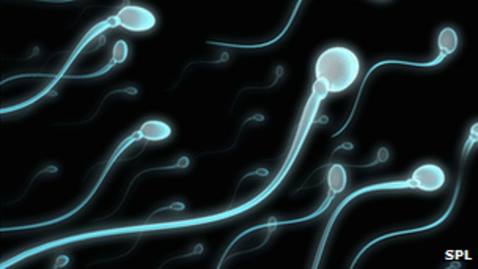 Testicular Zap May Stop Sperm Bbc News 