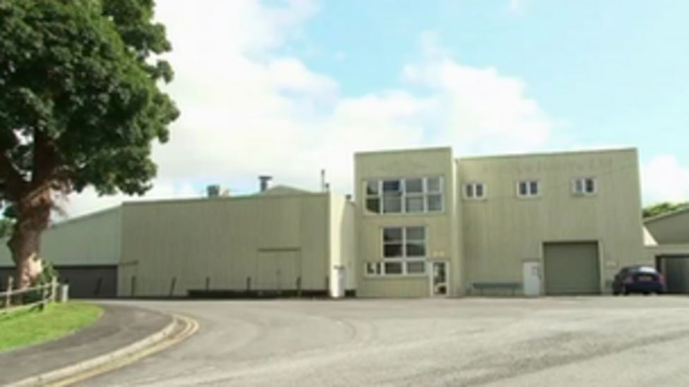 Bala Cake Crew creates 25 jobs to meet cupcake demand BBC News