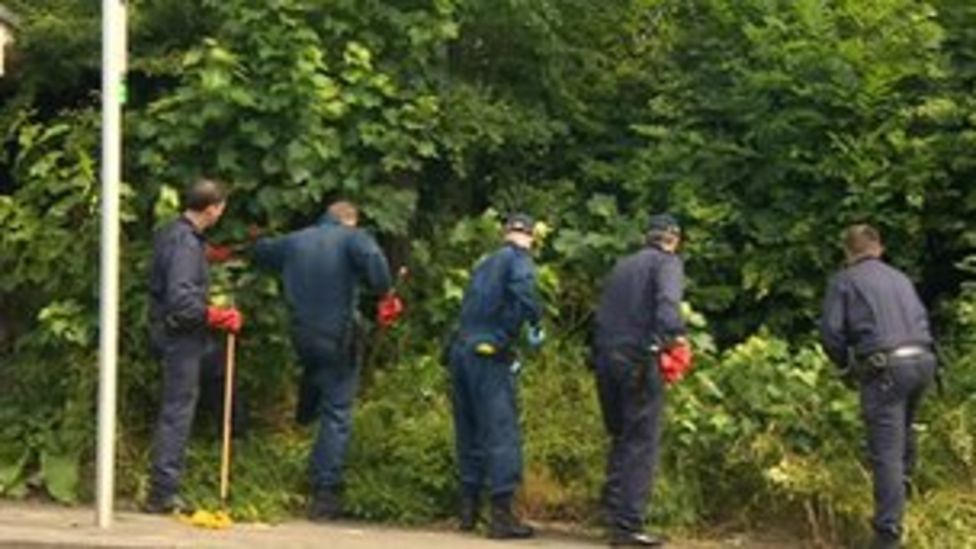 Man arrested after woman and dog killed in Prudhoe - BBC News