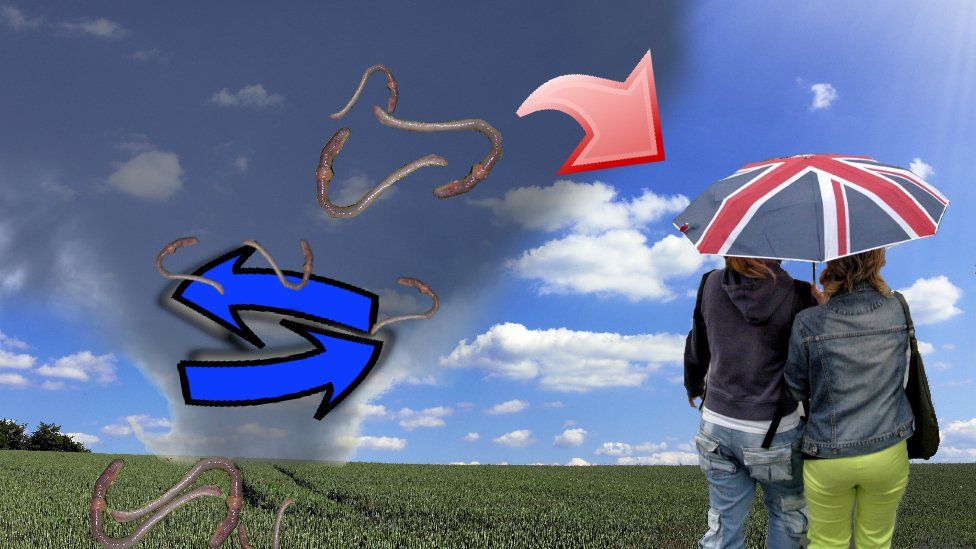 It's been raining worms in Norway BBC News