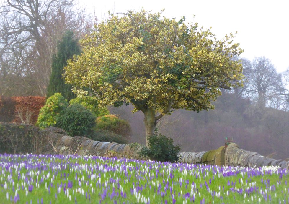 Your pictures of Scotland: 17-24 February - BBC News