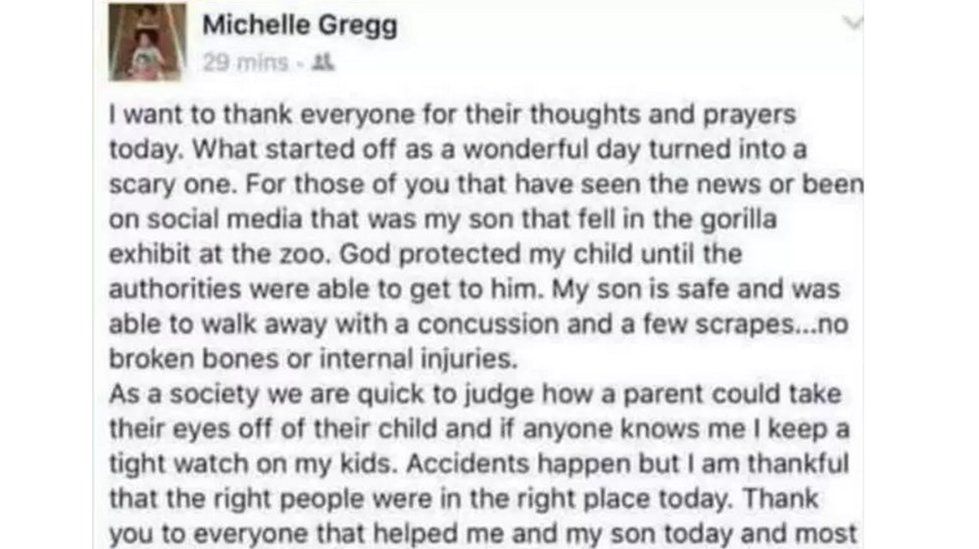 Michelle Gregg facebook post