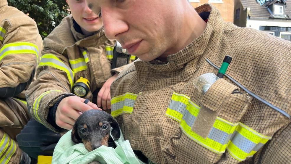 Firefighters with a puppy