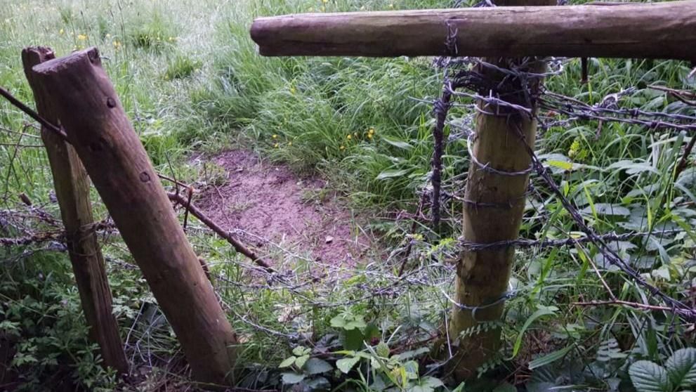 Fencing where barbed wire has been cut