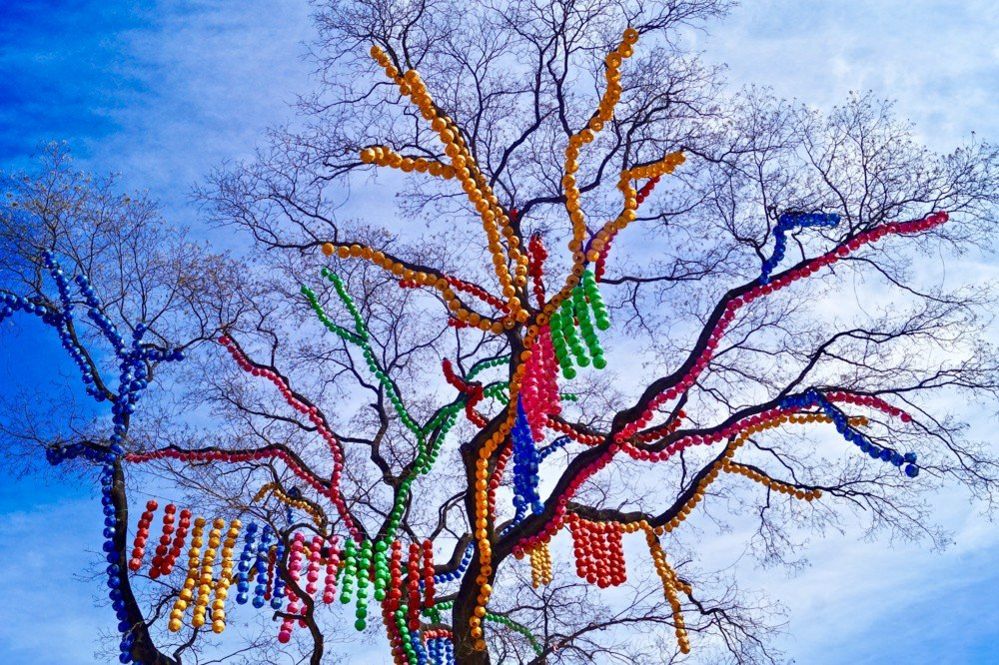 Lanterns in a tree