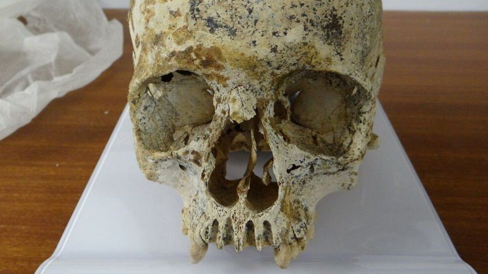 Skull of Ava