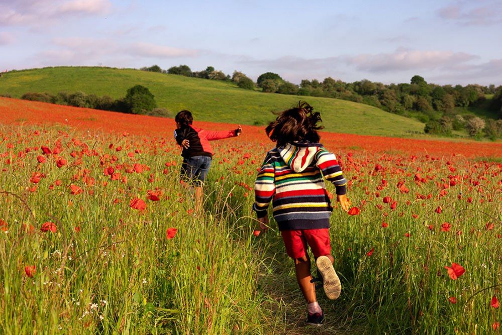 Boys running in a poppy field