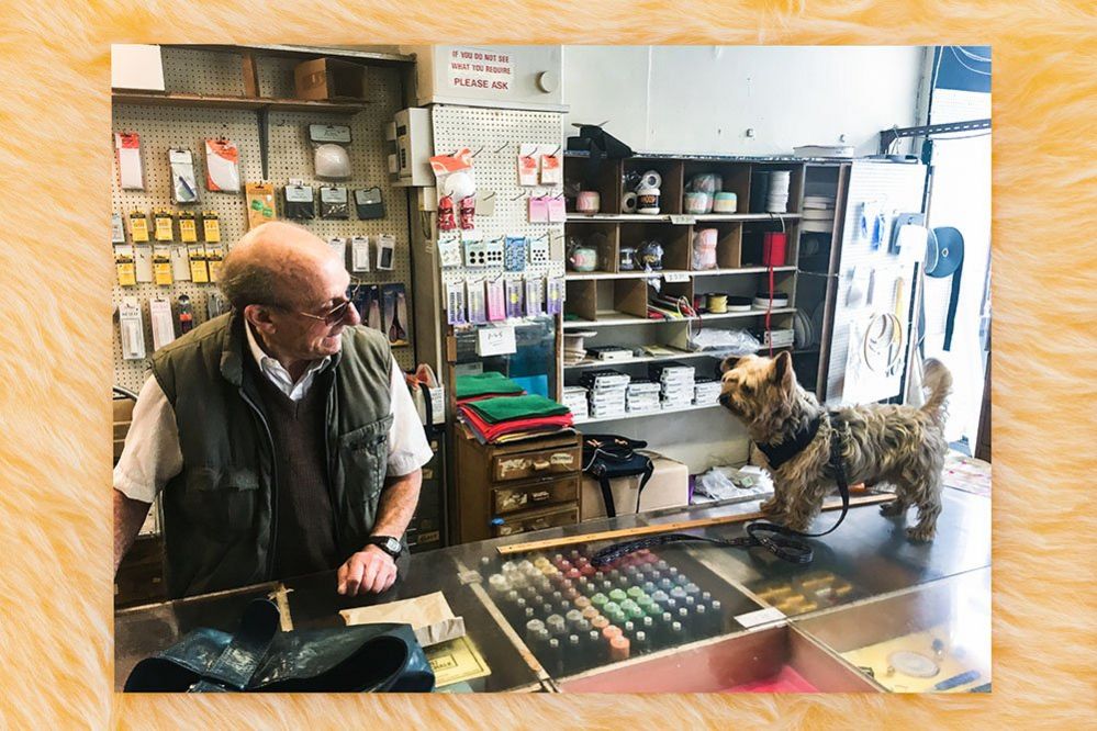 Морис Дорфман и собака в его магазине