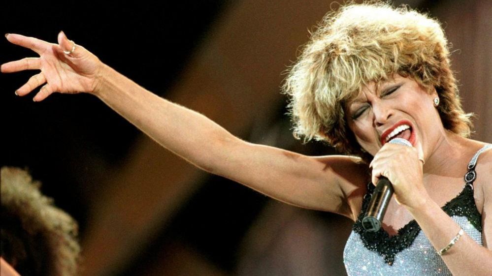 Tina Turner performs during her "Wildest Dream" tour concert in Basel, Switzerland July 5, 1996.