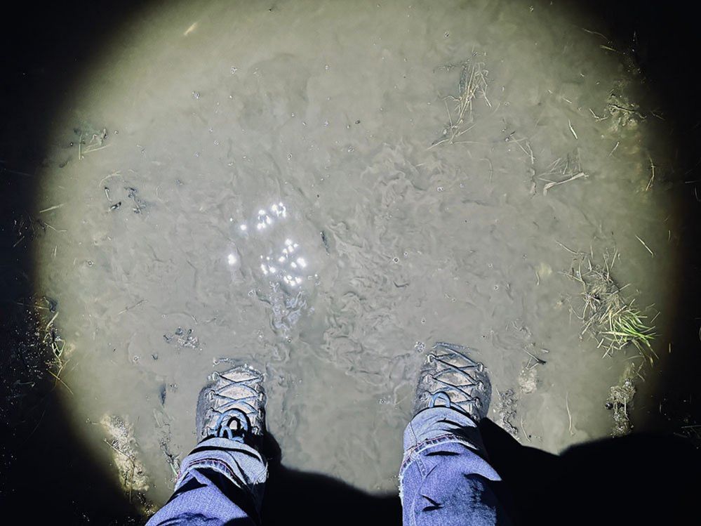 Feet in a muddy puddle