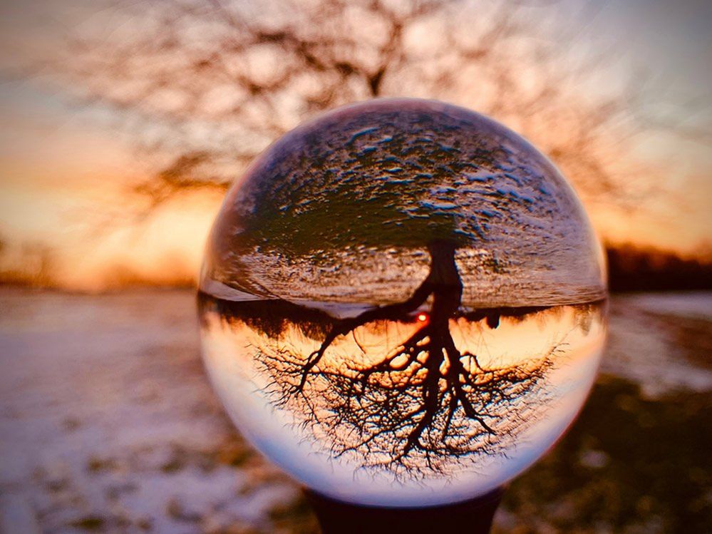 Tree through a lensball