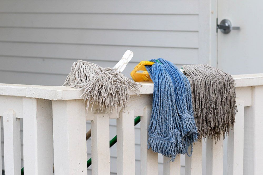 Mops on a fence