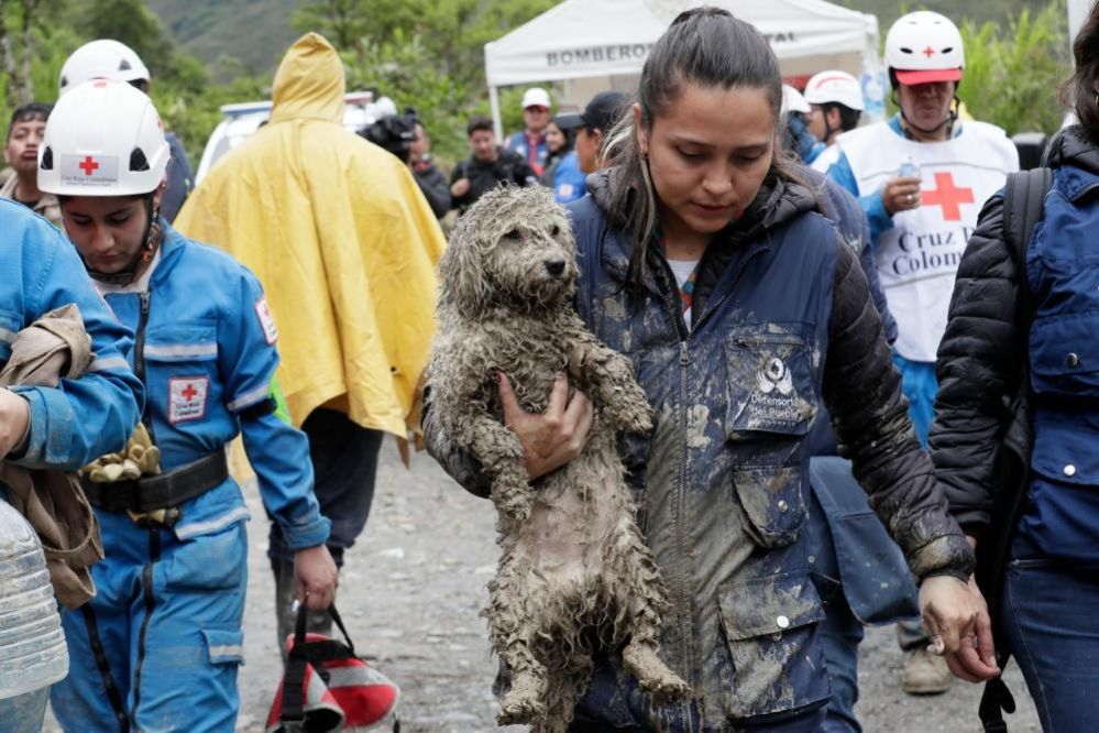 A worker carries a dog after being rescued in a zone affected by a landslide in Quetame, Cundinamarca, Colombia, 18 July 2023.