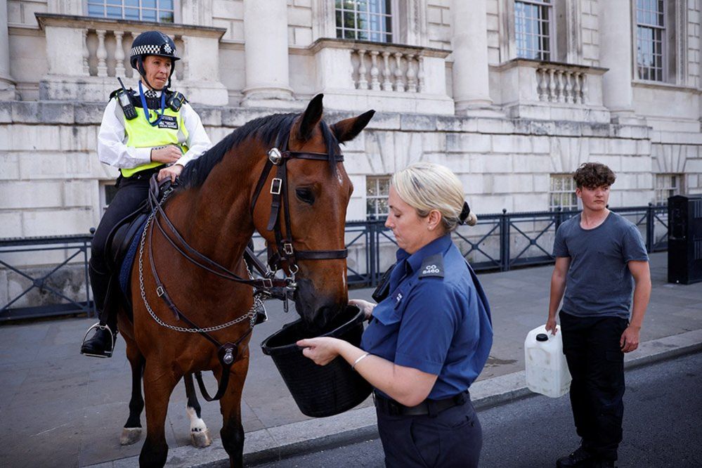A police horse is given water from a bucket