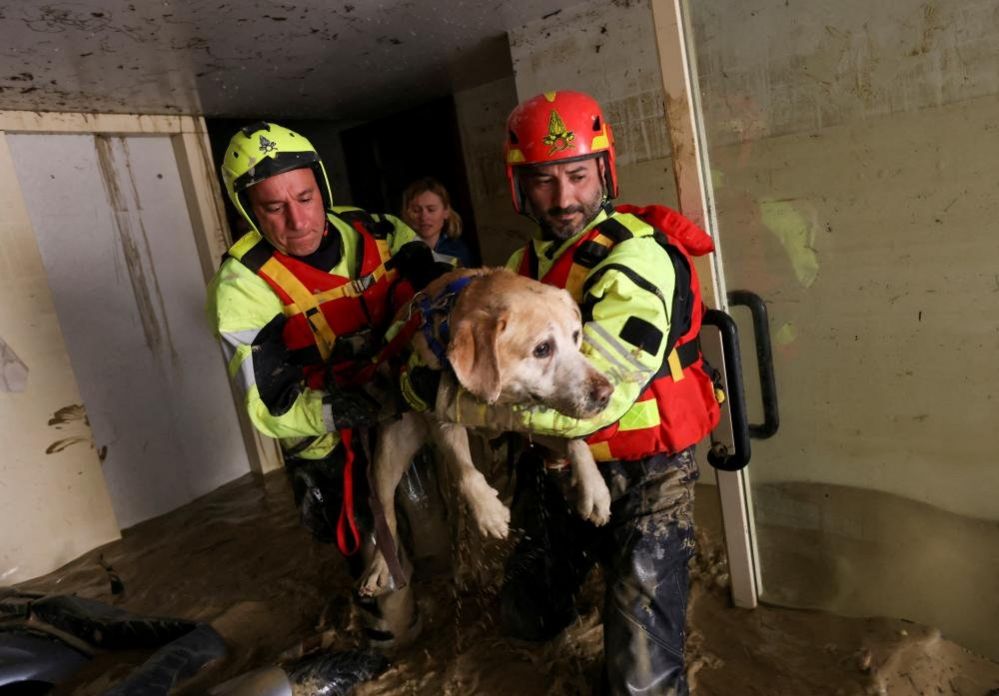 Firefighters evacuate a dog from a flooded house in Italy's Emilia Romagna region