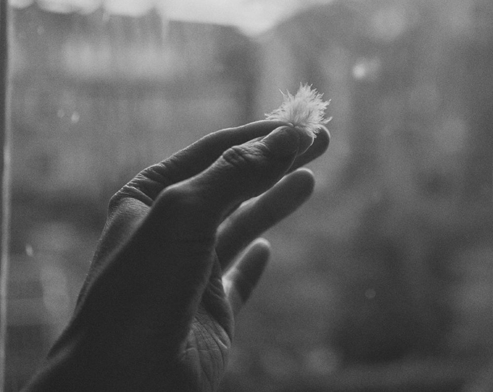 A hand holding a feather