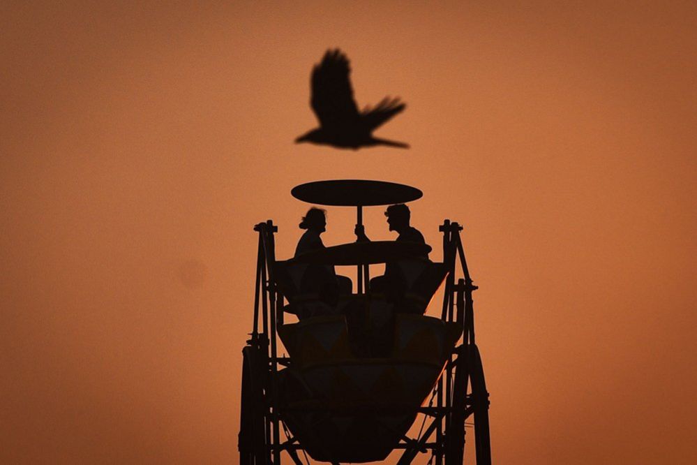 A seagull flies as a couple rides on a Ferris wheel on Valentine's Day, at Elliot's beach in Chennai, India - 14 February 2023