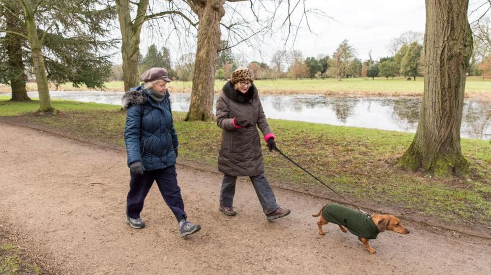 Dog walkers on a woodland footpath