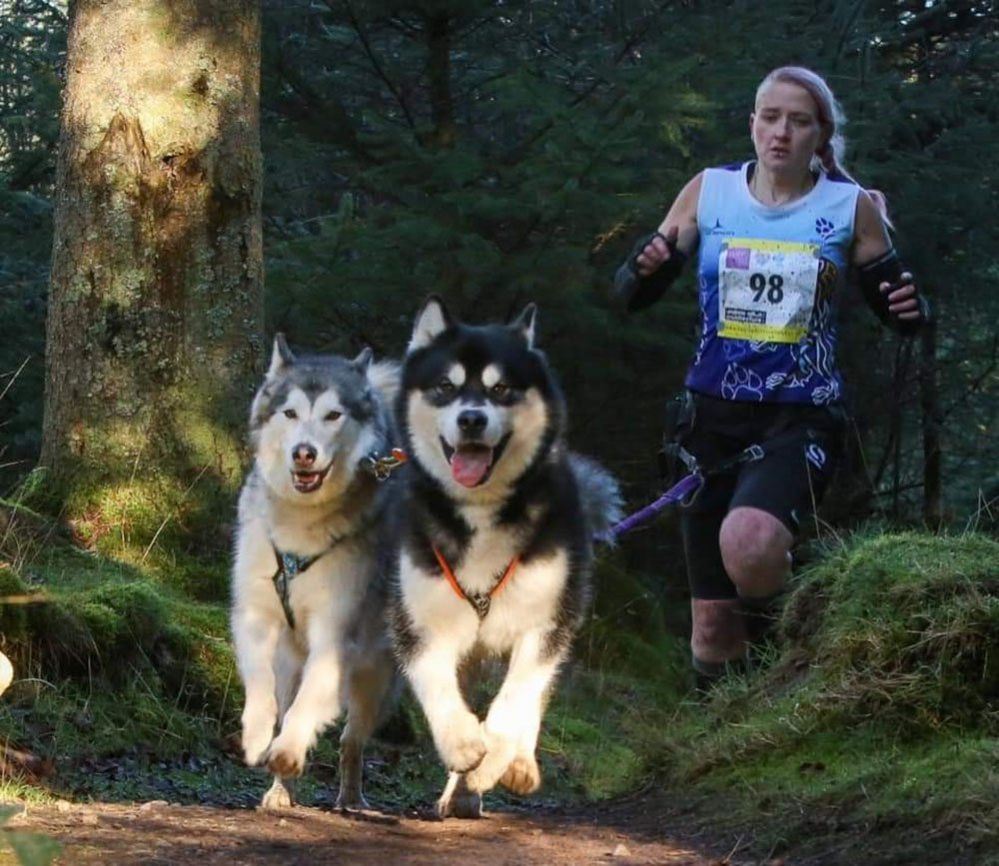 Dogs and runner