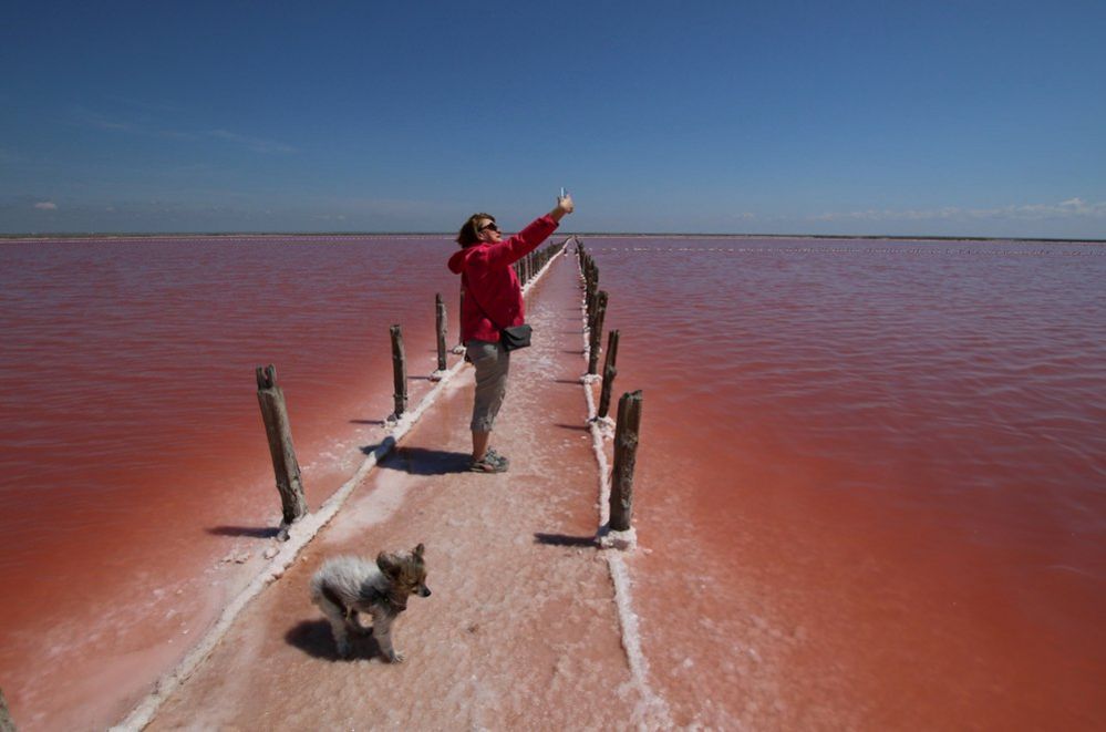 A woman with a dog takes a selfie, surrounded by red water
