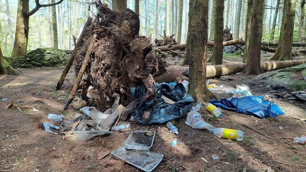 Tree stump from fallen over tree surrounded by litter including plastic bottles, disposable BBQ's and plastic bags.