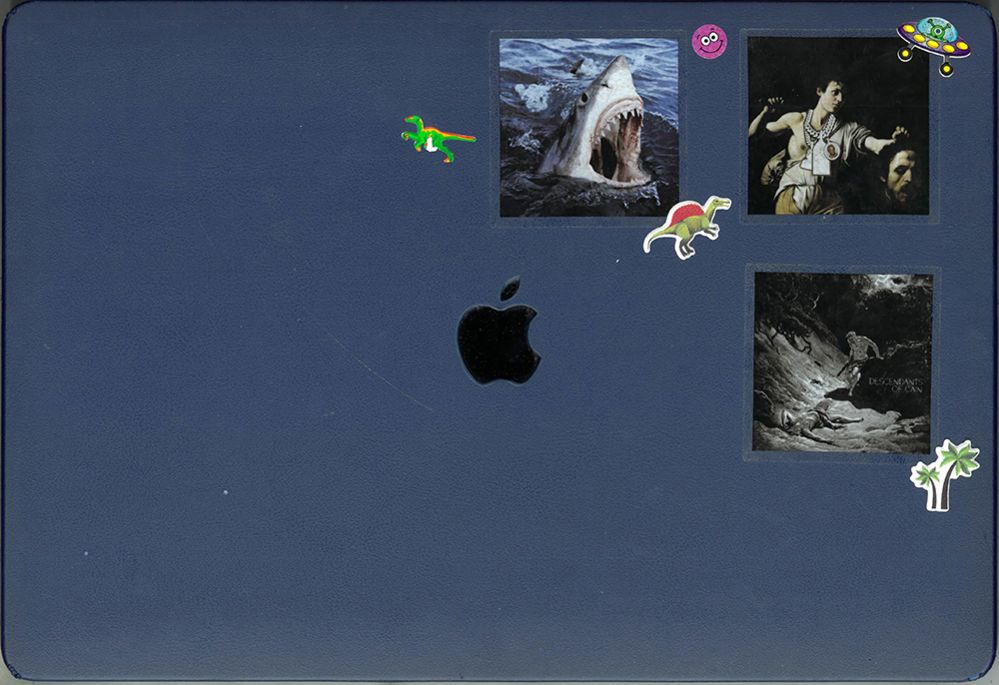 A laptop with an image of a shark