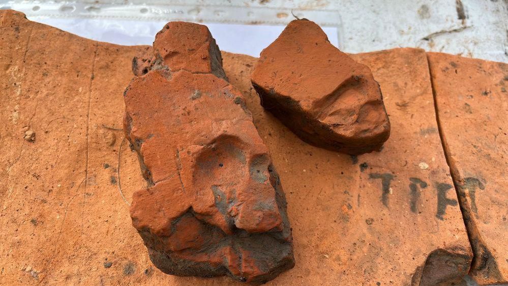 Two small bits of broken tile with indentations, one a thumb print, the other part of a deer footprint