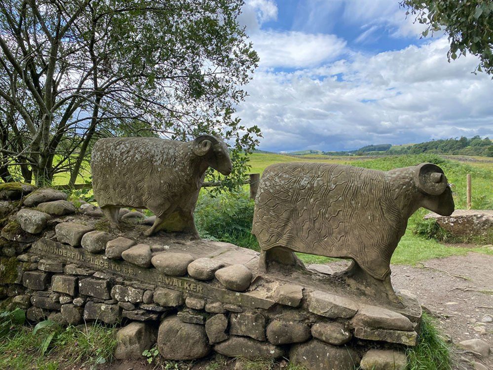 Sheep sculpture