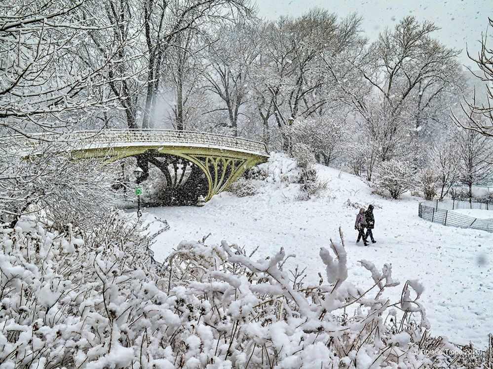 Проходя мимо Готического моста в Центральном парке Нью-Йорка
