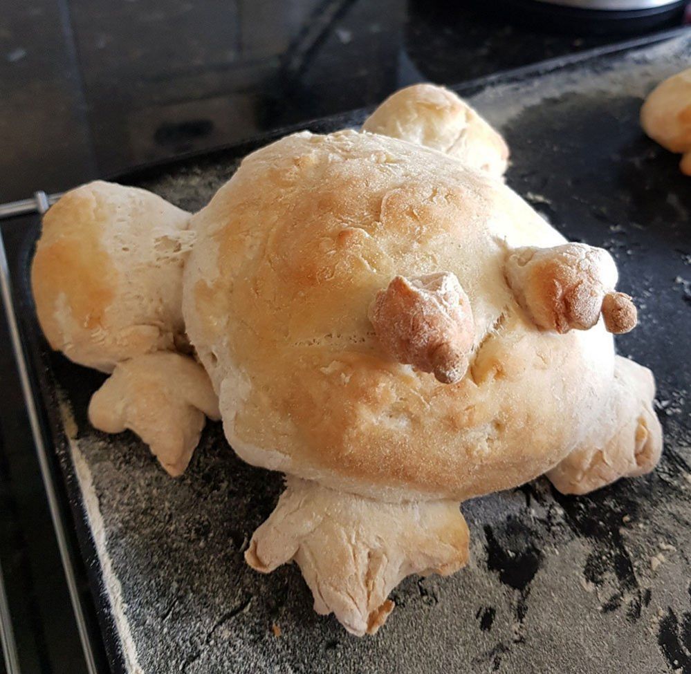 Bread in the shape of a frog