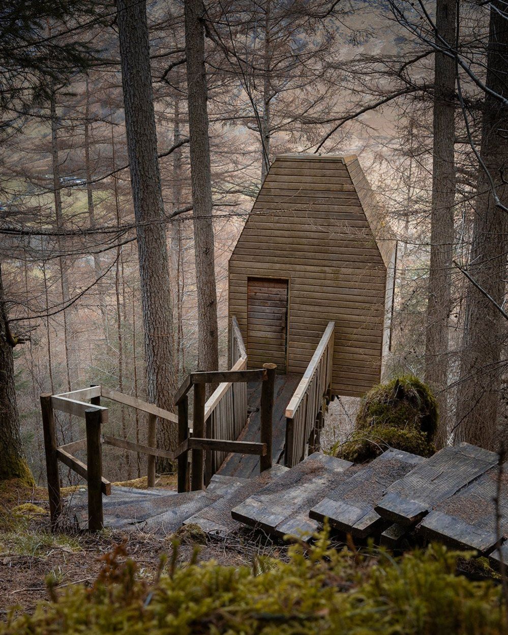 Деревянное здание в лесу