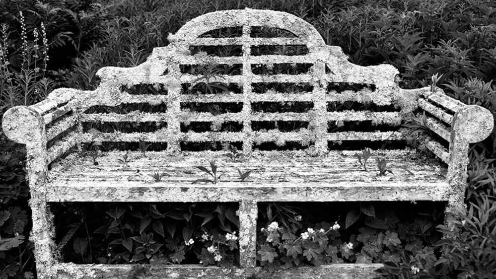 An old bench covered in lichen