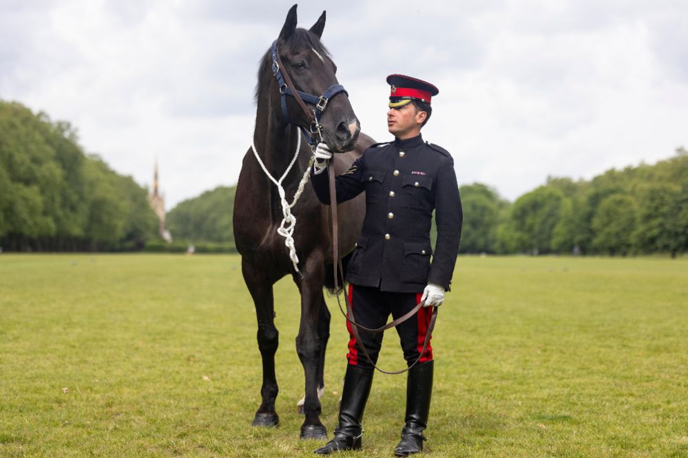 Soldier and horse in a field