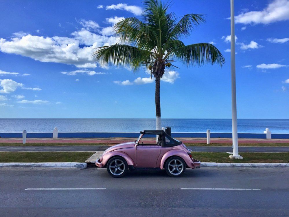 Volkswagen Beetle on a road in front of a tree and the sea