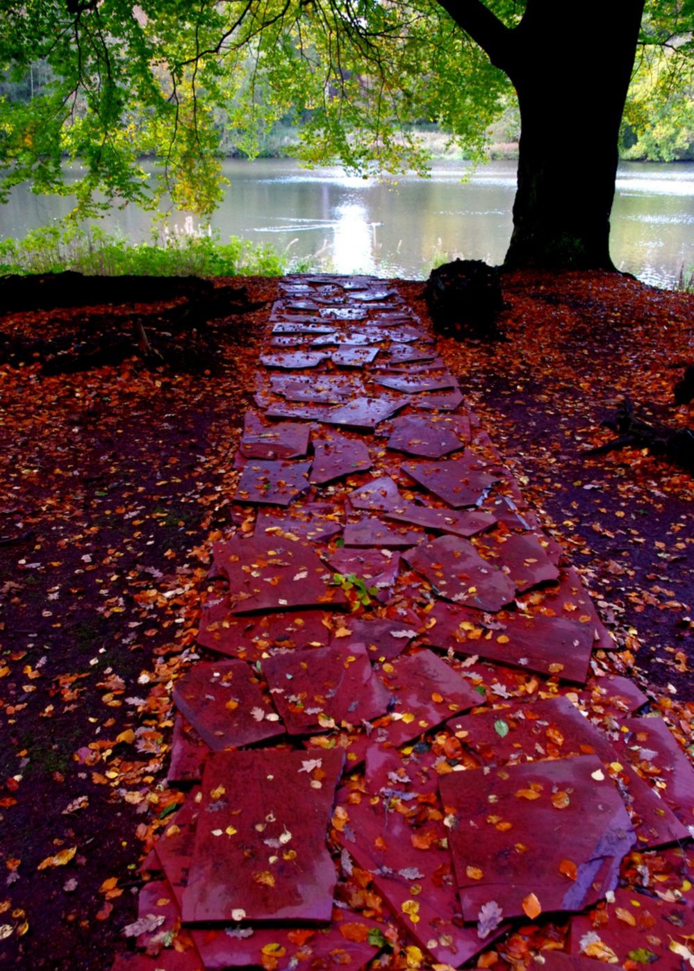 A red path covered in leaves, leading towards some water