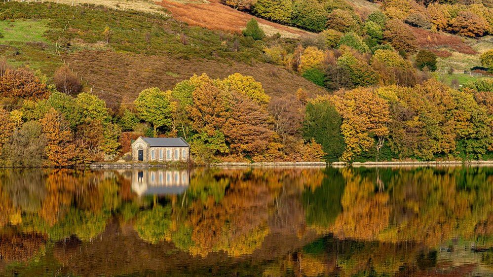 Trees reflected in a reservoir