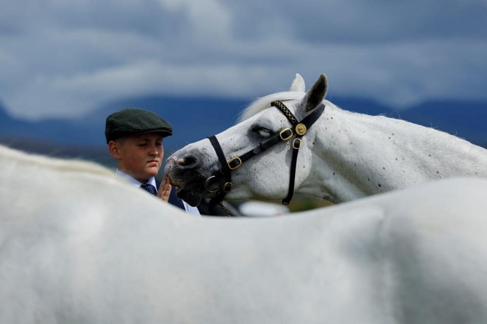 A handler holds Doonreaghan Milly