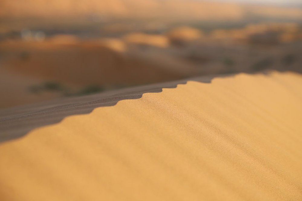 Sand dune, Wahiba Sands, Oman
