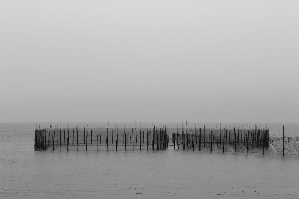 Fishing pier in mist