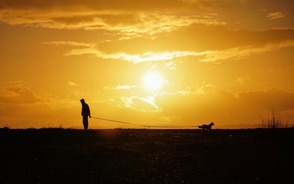 Человек и его собака на фоне заката