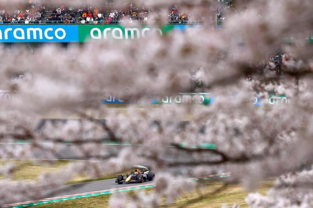 Red Bull's Max Verstappen is seen through cherry blossoms