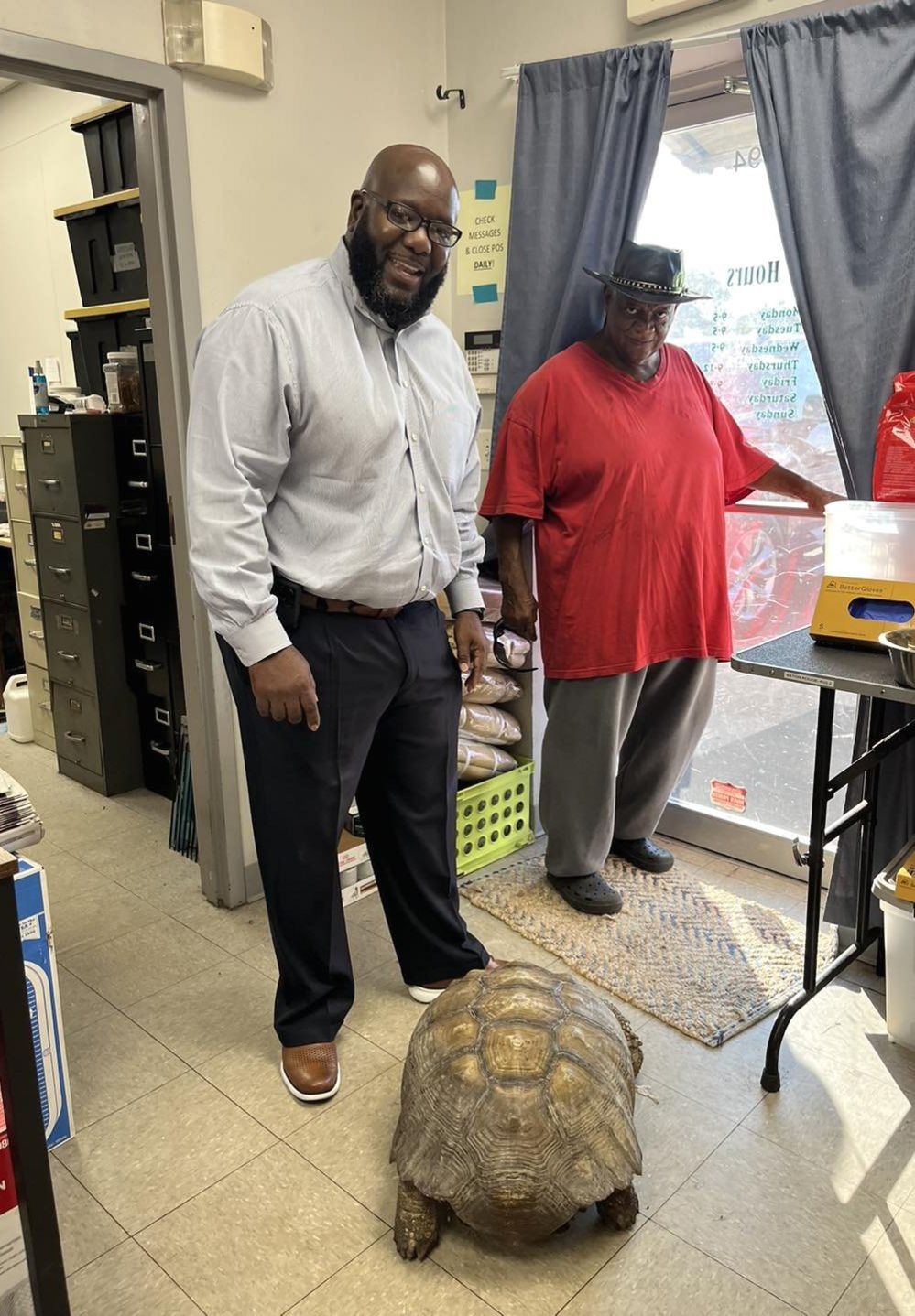 Biscuit the 100yearold tortoise reunited with owner BBC Newsround