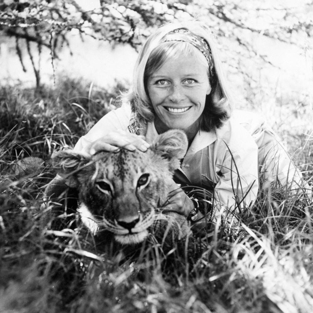 Virginia McKenna with one of her co-stars in the film Born Free, 1966