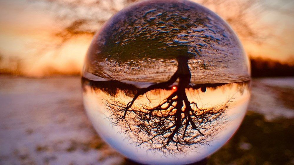 Tree through a lensball
