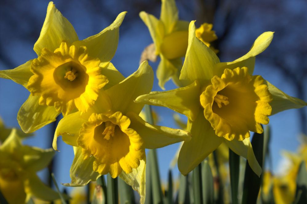 Your pictures of Scotland - BBC News