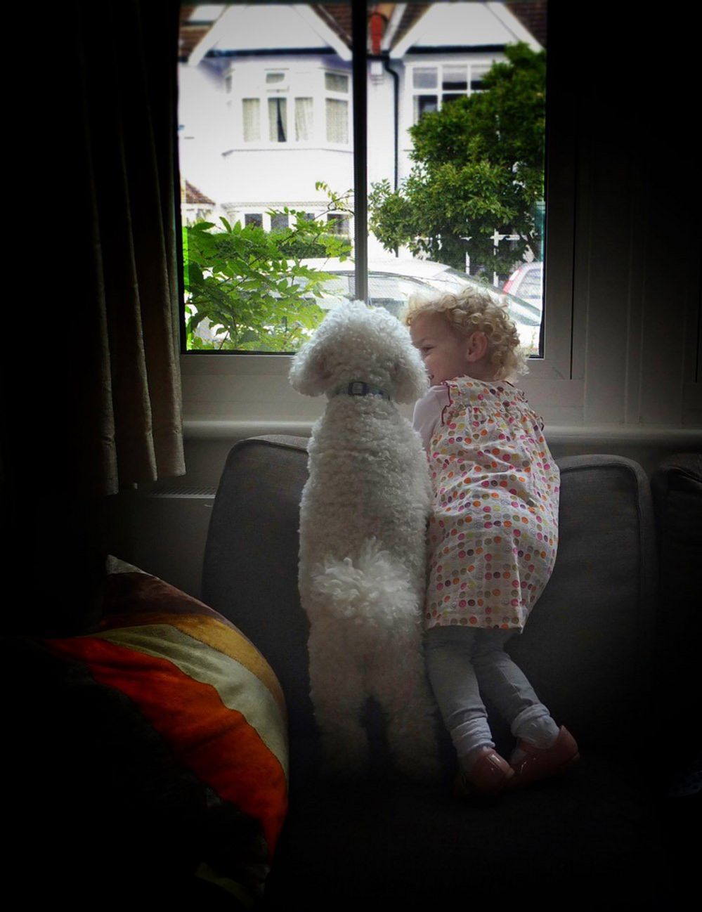 Девушка и ее собака