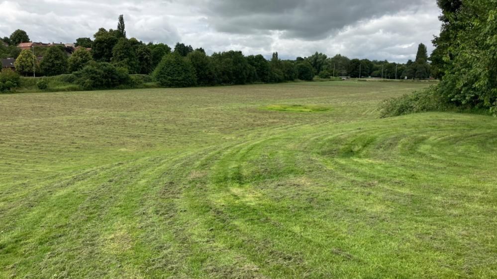 A wide shot of a big green open space 