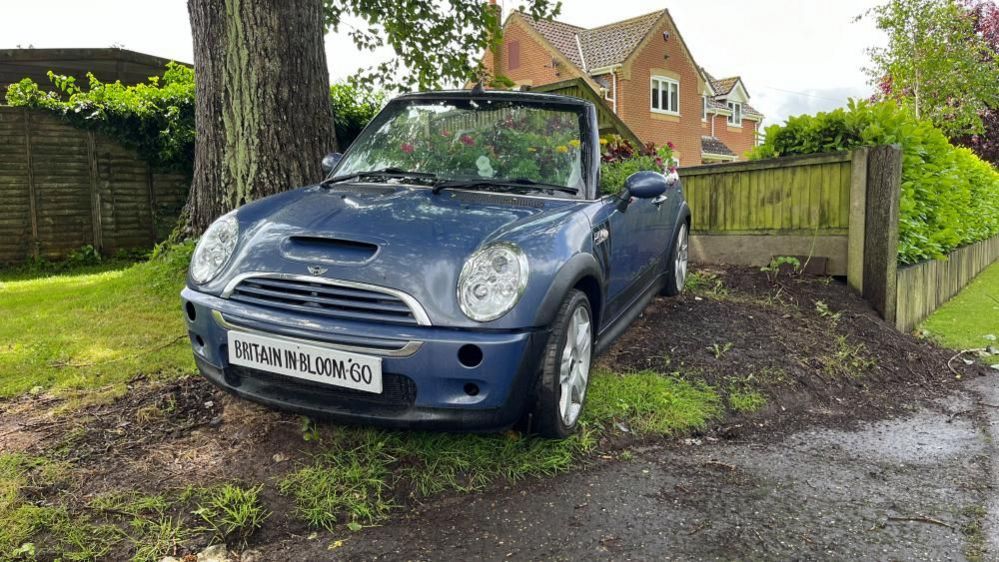 A blue mini sits by a tree, it's interior filled with floral displays