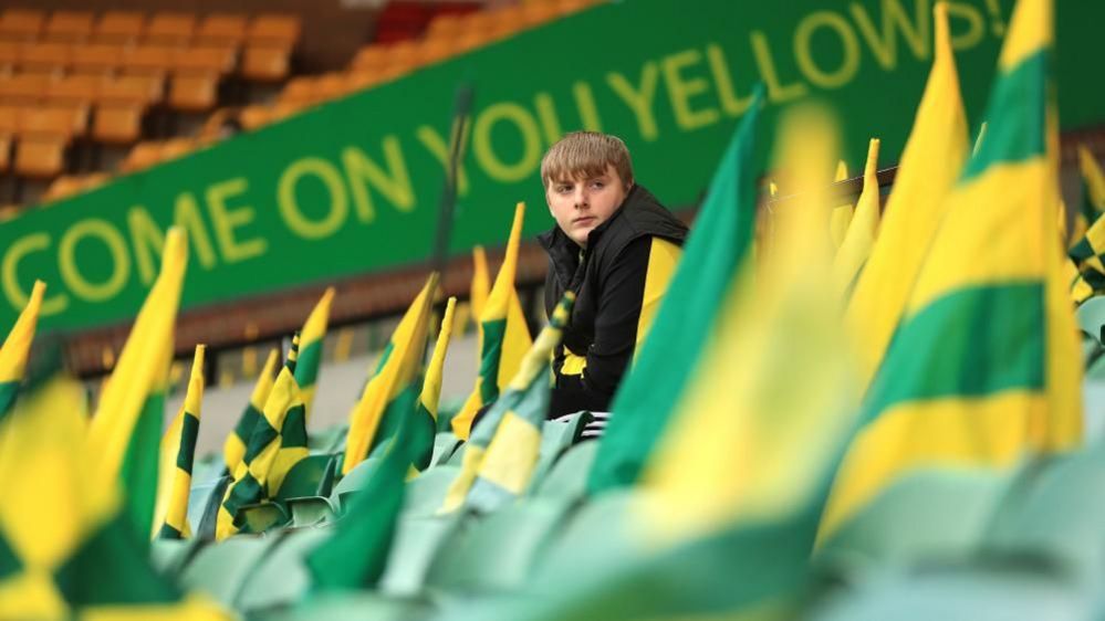 Norwich fan amid yellow and green flags